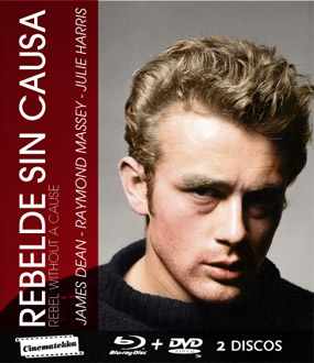 REBELDE SIN CAUSA