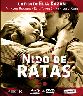 NIDO DE RATAS