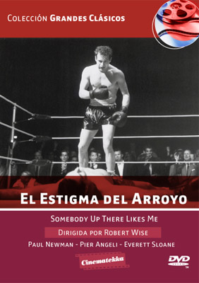 EL ESTIGMA DEL ARROYO