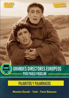 PAJARITOS Y PAJARRACOS