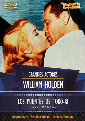 LOS PUENTES DE TOKO-RI
