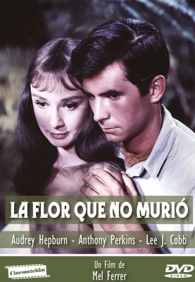 LA FLOR QUE NO MURIO