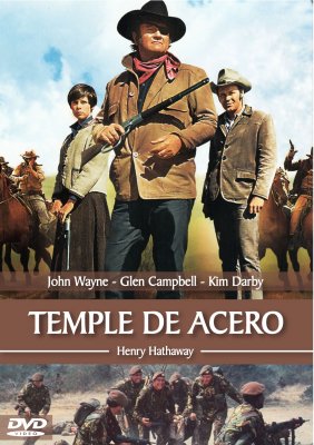 TEMPLE DE ACERO